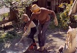 Сцена из фильма Мужской отдых / Chlapská dovolenka (1988) 