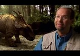 Сцена из фильма Затерянные миры. Кладбище динозавров (2010) Затерянные миры. Кладбище динозавров сцена 1