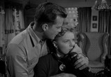 Сцена из фильма Любовное гнездышко / Love Nest (1951) Любовное гнездышко сцена 4