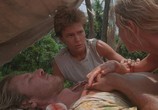 Сцена из фильма Берег москитов / The Mosquito Coast (1986) Берег москитов сцена 5
