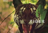 ТВ National Geographic : Самые опасные животные : Сильнейшие хищники / World's deadliest : Ultimate predators (2010) - cцена 2