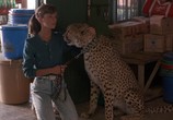 Сцена из фильма Гепард / Cheetah (1989) Гепард сцена 6