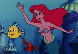 Сцена из фильма Русалочка / The Little Mermaid: The series (1992) Русалочка сцена 15