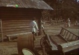 Фильм Купальская ночь (1982) - cцена 8