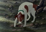 Сцена из фильма Отчаянные псы / The Plague Dogs (1982) Отчаянные псы (Чумные Псы) сцена 2