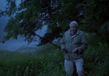 Сцена из фильма Живой свет с Дэвидом Аттенборо. Биолюминесценция / David Attenborough’s Light on Earth (Life That Glows) (2016) Живой свет с Дэвидом Аттенборо. Биолюминесценция сцена 3