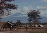 Сцена из фильма Снега Килиманджаро / The Snows of Kilimanjaro (1952) Снега Килиманджаро сцена 1