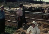 Сцена из фильма Тепло родного дома (1983) Тепло родного дома сцена 3