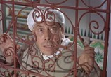 Сцена из фильма Али-Баба и сорок разбойников / Ali Baba et les quarante voleurs (1954) Али-Баба и сорок разбойников сцена 2