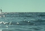 Сцена из фильма Всё начинается у моря / Hakol Mathil Bayam (2008) Всё начинается у моря сцена 3
