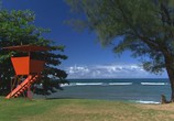 ТВ HDScape: Гавайи / HDScape: HDWindow — Hawaii (2005) - cцена 2