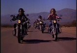 Фильм Курочки-байкеры в городе зомби / Chopper Chicks in Zombietown (1989) - cцена 4