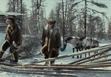 Сцена из фильма Волк / Loup (2009) Волк сцена 14