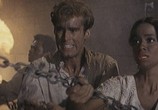 Сцена из фильма Сандок, силач из джунглей / Sandok, il Maciste della giungla (1964) Сандок, силач из джунглей сцена 17