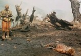 Сцена из фильма Айболит-66 (1967) Айболит-66 сцена 6