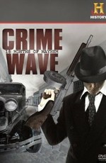 Crime Wave: 18 Months of Mayhem