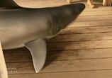 Сцена из фильма Озаркские акулы / Ozark Sharks (2016) Озаркские акулы сцена 2