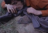 Сцена из фильма Без покоя / Bube u glavi (1970) Без покоя сцена 9