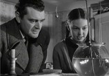 Сцена из фильма Нет пути / No highway (1951) Нет пути сцена 7