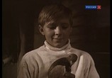 Сцена из фильма Мальчик и голубь (1961) Мальчик и голубь сцена 10