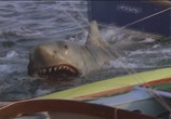 Сцена из фильма Челюсти 2 / Jaws 2 (1978) Челюсти 2 сцена 3