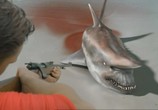 Сцена из фильма Акулы Малибу / Malibu Shark Attack (2009) Акулы Малибу сцена 2