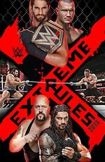 WWE Экстремальные правила (2015)