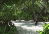 Сцена из фильма Мальдивы: Впечатления. Великолепные острова / Malediven: HD Impressionen Traumhafter Inseln (2011) Мальдивы: Впечатления. Великолепные острова сцена 9