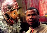 Сцена из фильма Атака куриных зомби / Poultrygeist: Night of the Chicken Dead (2007) Атака куриных зомби