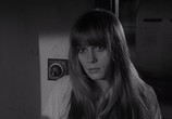 Сцена из фильма Тупик / Cul-de-sac (1966) Тупик сцена 5