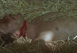 Сцена из фильма Зачем жить, зачем умирать / Una ragione per vivere e una per morire (1972) Зачем жить, зачем умирать сцена 4