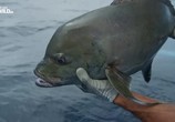 Сцена из фильма Рыбалка на гигантов / Fishing for Giants (2017) Рыбалка на гигантов сцена 5