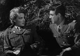 Сцена из фильма Солдат в юбке (Я был военной невестой) / I Was A Male War Bride (1949) 