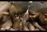 Сцена из фильма Жизнь по законам джунглей. Камерун / The Last Hunters in Cameroon (2013) Жизнь по законам джунглей. Камерун сцена 6