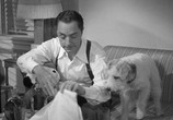 Сцена из фильма Другой тонкий человек / Another Thin Man (1939) Другой тонкий человек сцена 1