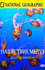 National Geographic: Нашествие медуз
