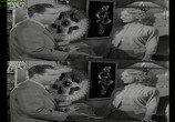 Сцена из фильма Мужчина в темноте / Man in the Dark (1953) Мужчина в темноте сцена 14