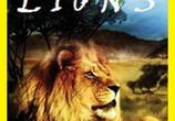 Сцена из фильма Nat Geo Wild: Болотные львы / Nat Geo Wild: Swamp Lions (2011) 