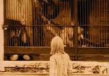 Сцена из фильма Убитые молнией (2006) Убитые молнией сцена 5