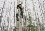 Сцена из фильма Discovery: Аляска: семья из леса / Alaskan Bush People (2014) Discovery: Аляска: семья из леса сцена 1