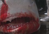 Сцена из фильма Челюсти / Jaws (1975) Челюсти сцена 4