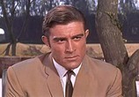 Сцена из фильма Тарзан и Золотая долина / Tarzan and the Valley of Gold (1966) Тарзан и Золотая долина сцена 1