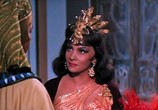 Сцена из фильма Соломон и Шеба / Solomon And Sheba (1959) Соломон и царица Савская сцена 5