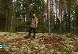 Сцена из фильма Природный парк Вепсский лес (2013) Природный парк Вепсский лес сцена 3