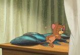 Сцена из фильма Том и Джерри: Шпион Квест / Tom and Jerry: Spy Quest (2015) Том и Джерри: Шпион Квест сцена 3