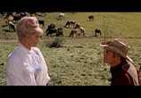 Сцена из фильма Баллада о Джози / The Ballad Of Josie (1967) Баллада о Джози сцена 8