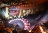 ТВ В Поисках гигантского осьминога / Search for the Giant Octopus (2009) - cцена 8