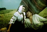 Фильм Борец и клоун (1957) - cцена 9 Фильм Борец и клоун (1957) - cцена 9