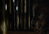 Сцена из фильма Волки / Wolfen (1981) Волки сцена 3
