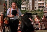Сцена из фильма Мальчик с большой чёрной собакой / Der Junge mit dem großen schwarzen Hund (1986) Мальчик с большой чёрной собакой сцена 18